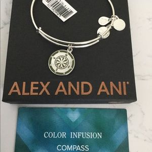 Alex and Ani color infused compass